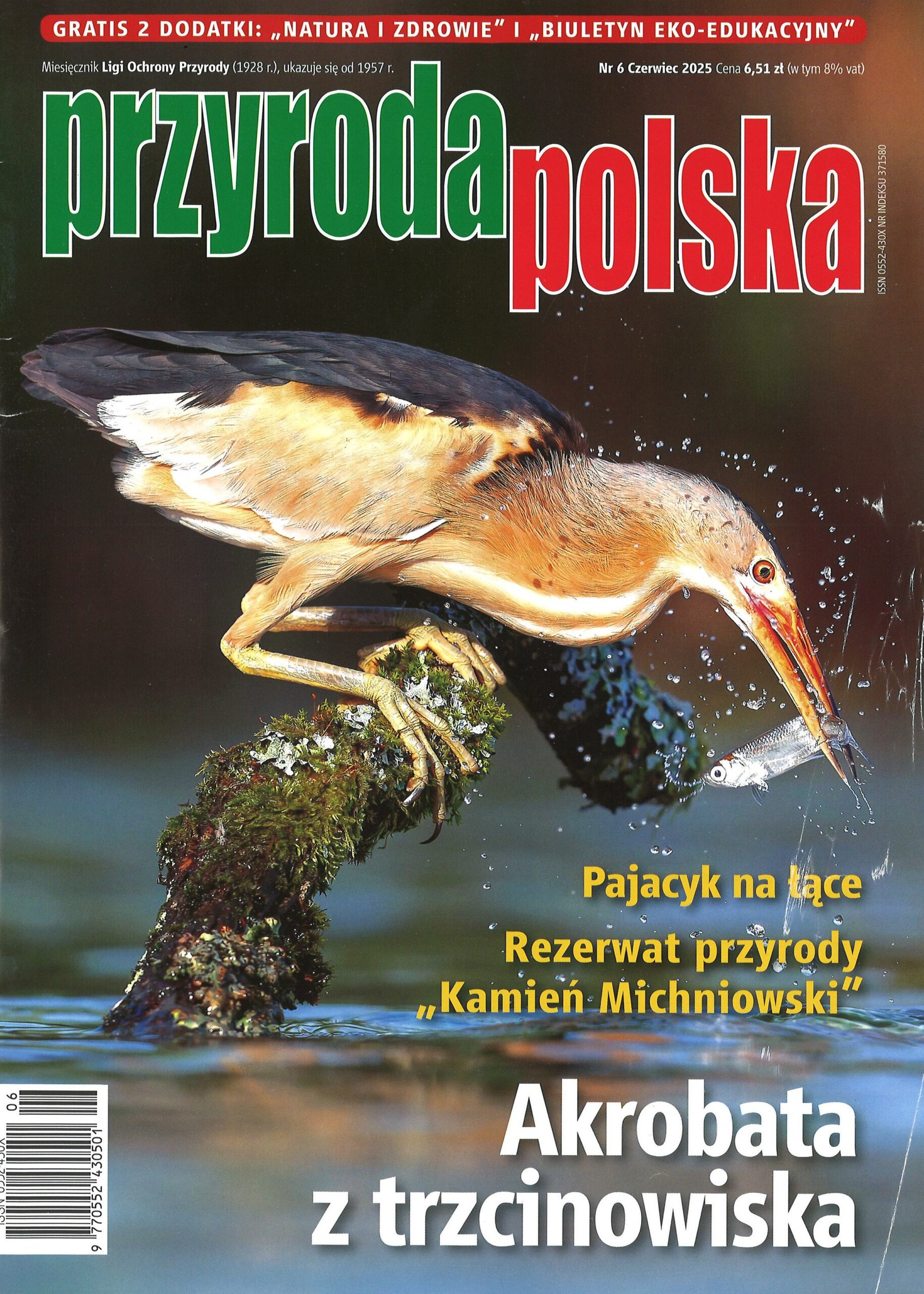 Przyroda Polska