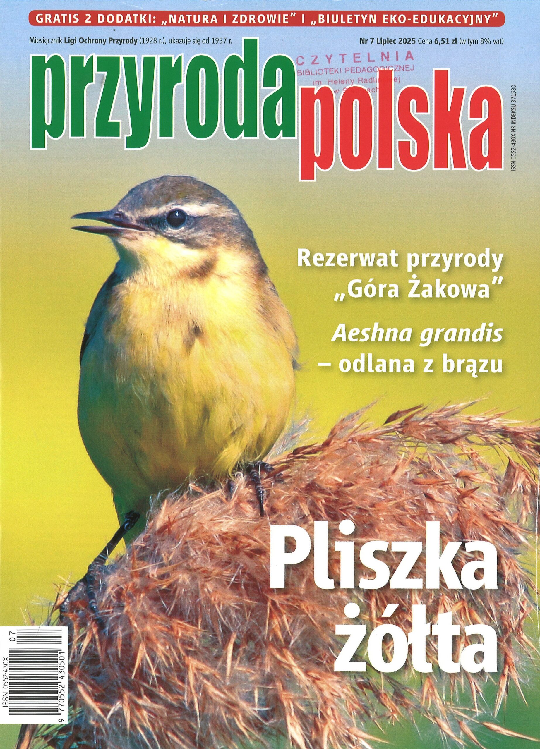 Przyroda Polska