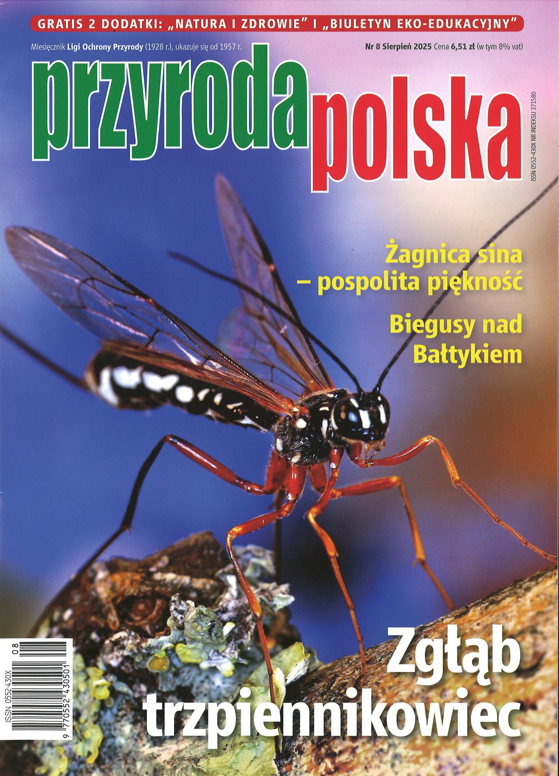 Przyroda Polska