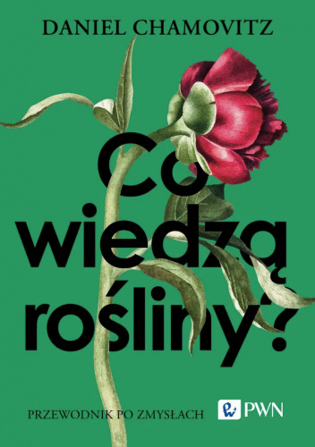 Co wiedzą rośliny : przewodnik po zmysłach