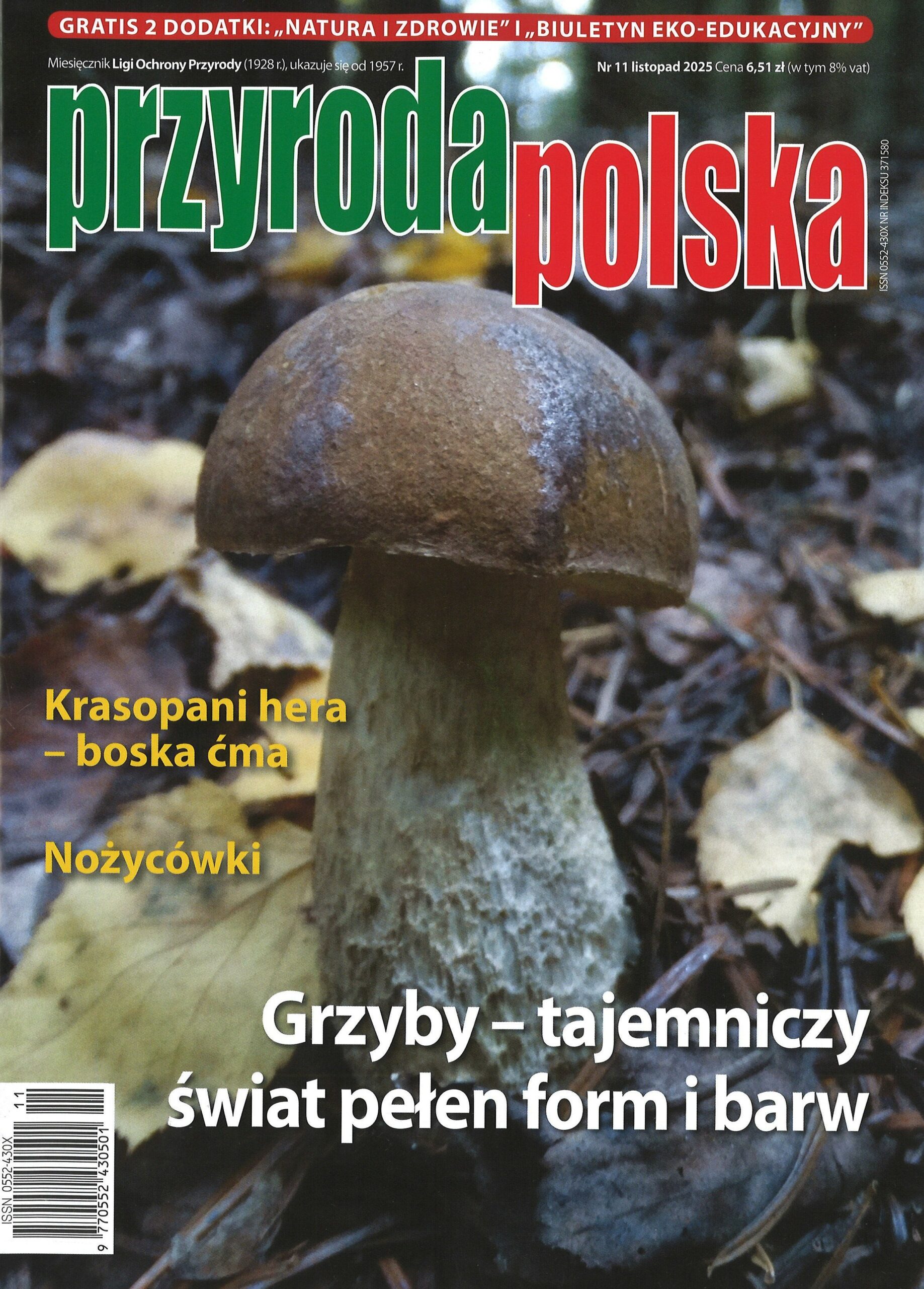 Przyroda Polska