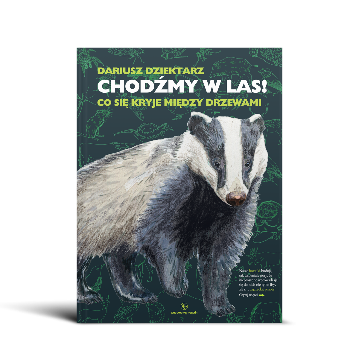 Chodźmy w las! : co się kryje między drzewami