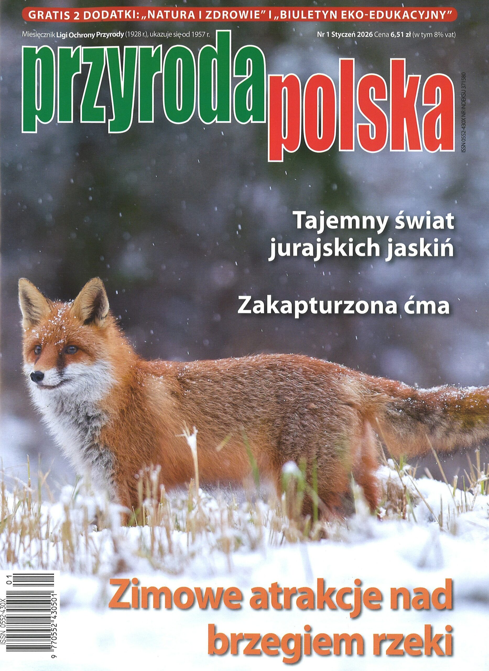 Przyroda Polska