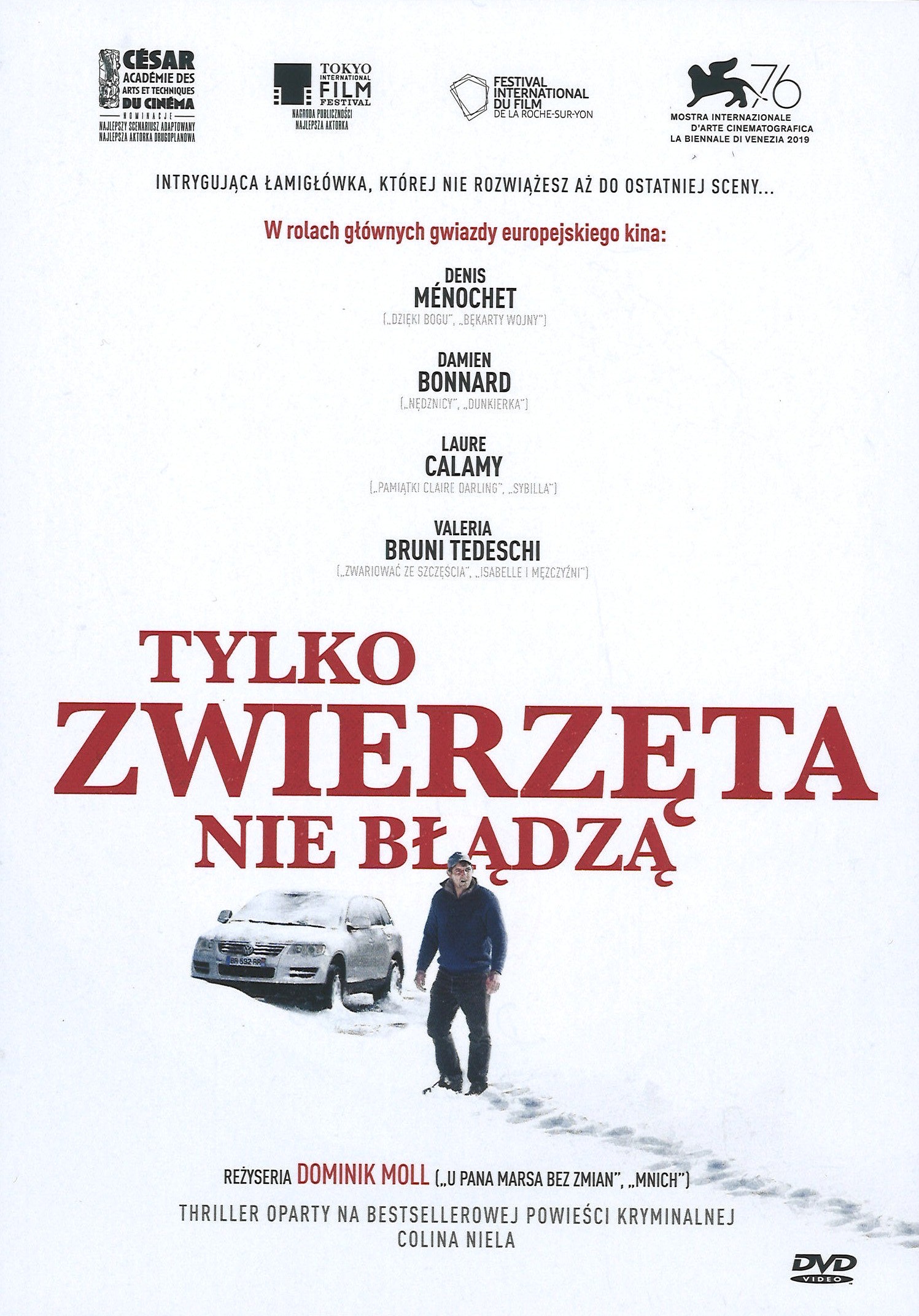 Tylko zwierzęta nie błądzą