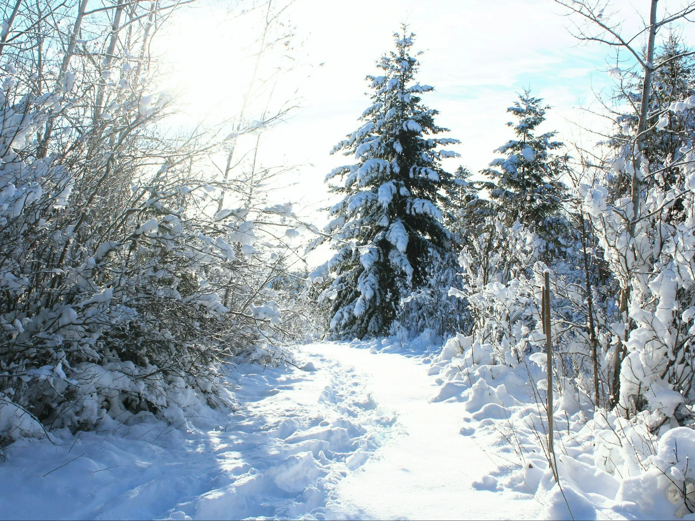 Zima biała śniegu nam nasypała