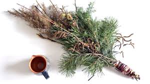 Robimy palmę wielkanocną