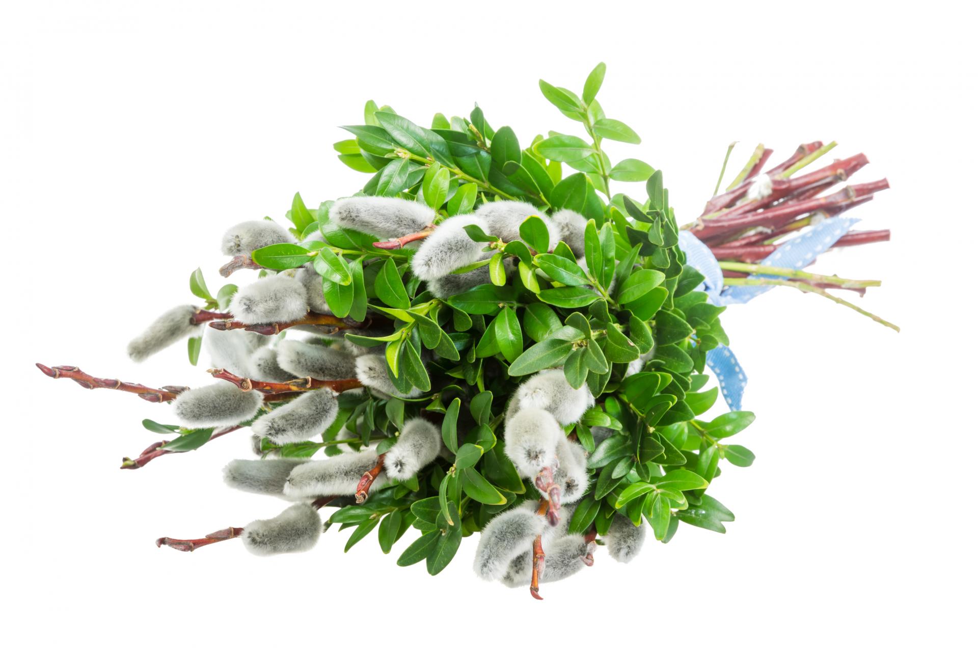 Robimy palmę wielkanocną