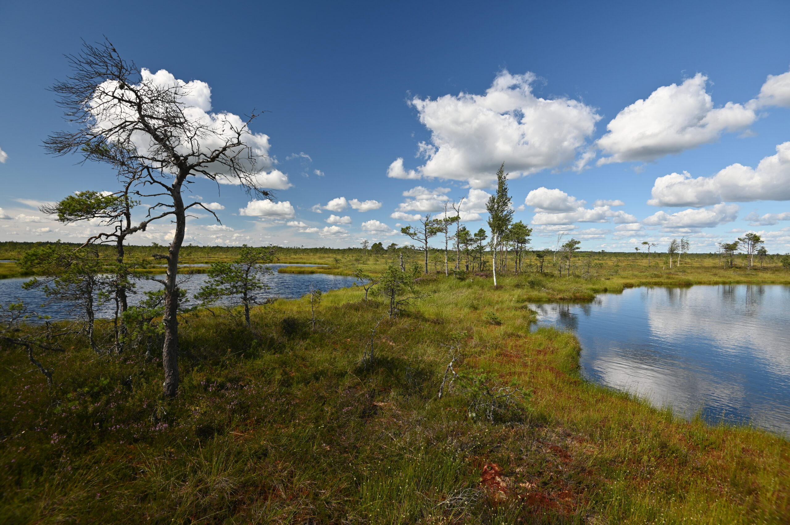 1000 km wyzwania – Estonia na rowerze