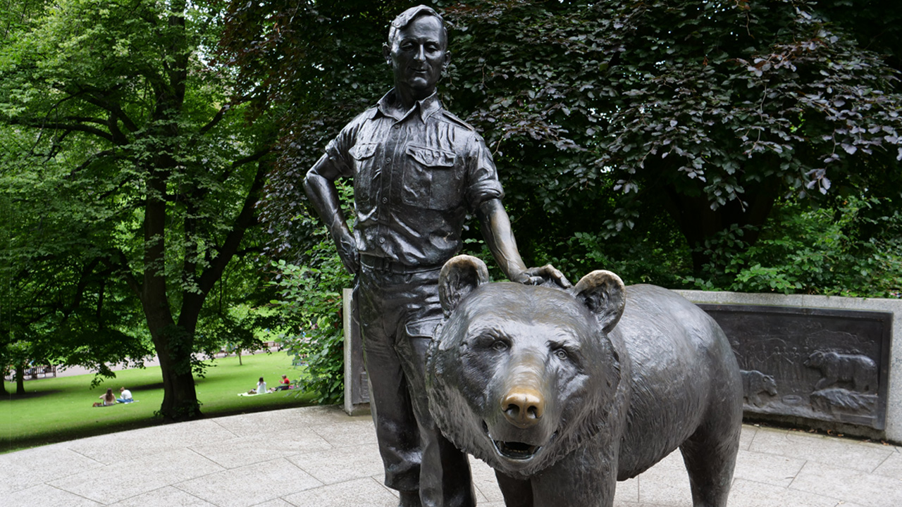 Szlakiem niedźwiedzia Wojtka