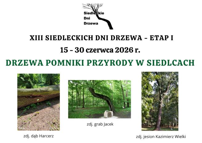 XIII Siedleckie Dni Drzewa rozpoczęte