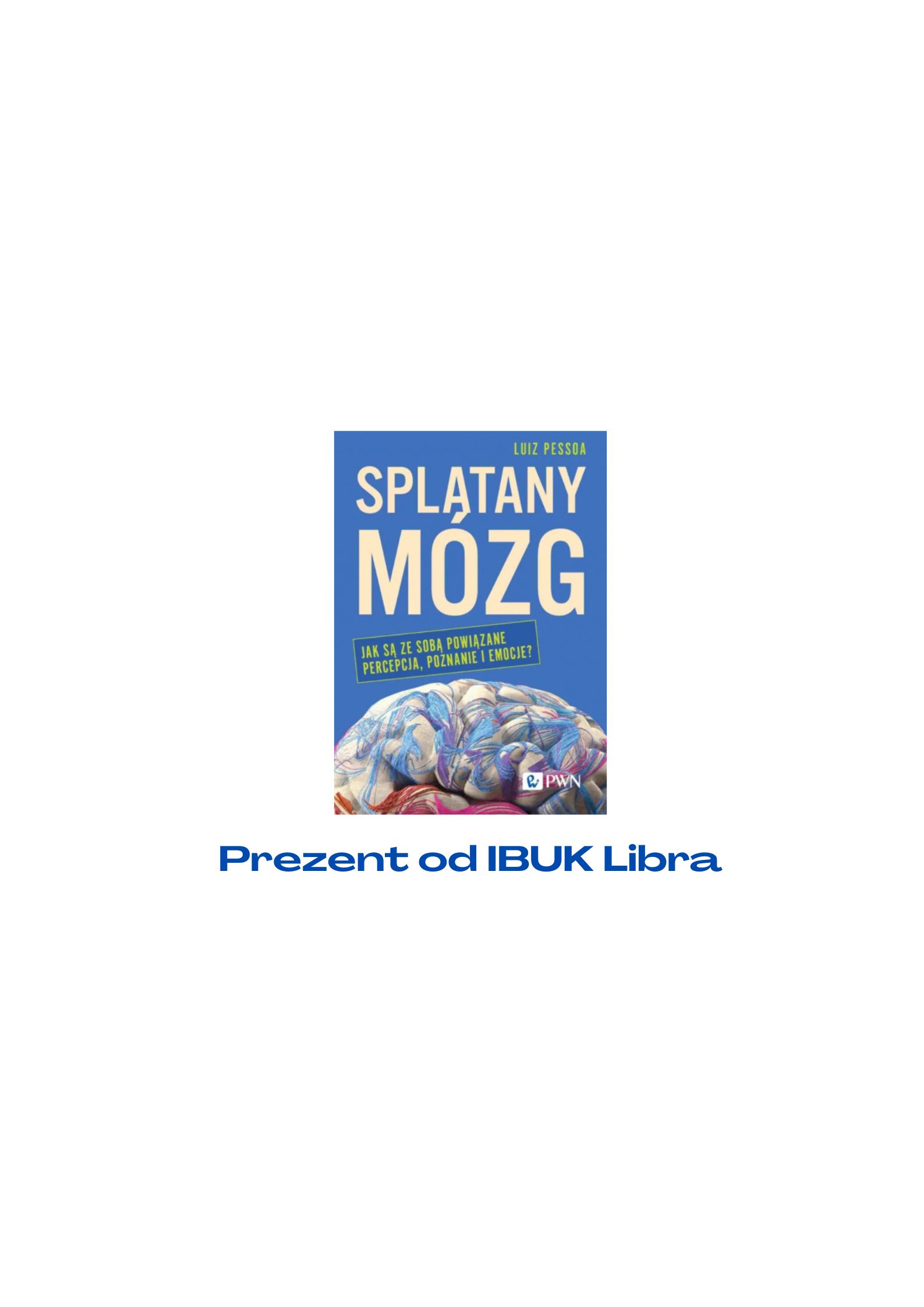 Splątany mózg. Jak są ze sobą powiązane percepcja, poznanie…